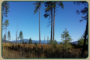 Quail Ridge in Spirit Lake, Idaho