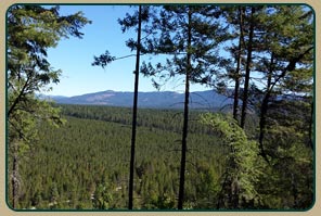 Quail Ridge properties