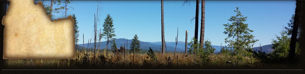 Quail Ridge a 5 Star Development with large acreage lots